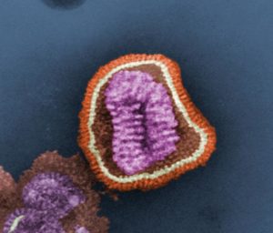 Image to illustrate coronavirus furlough